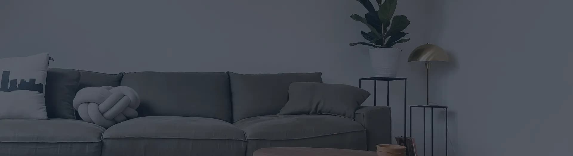 Sofa cleaning service hero
